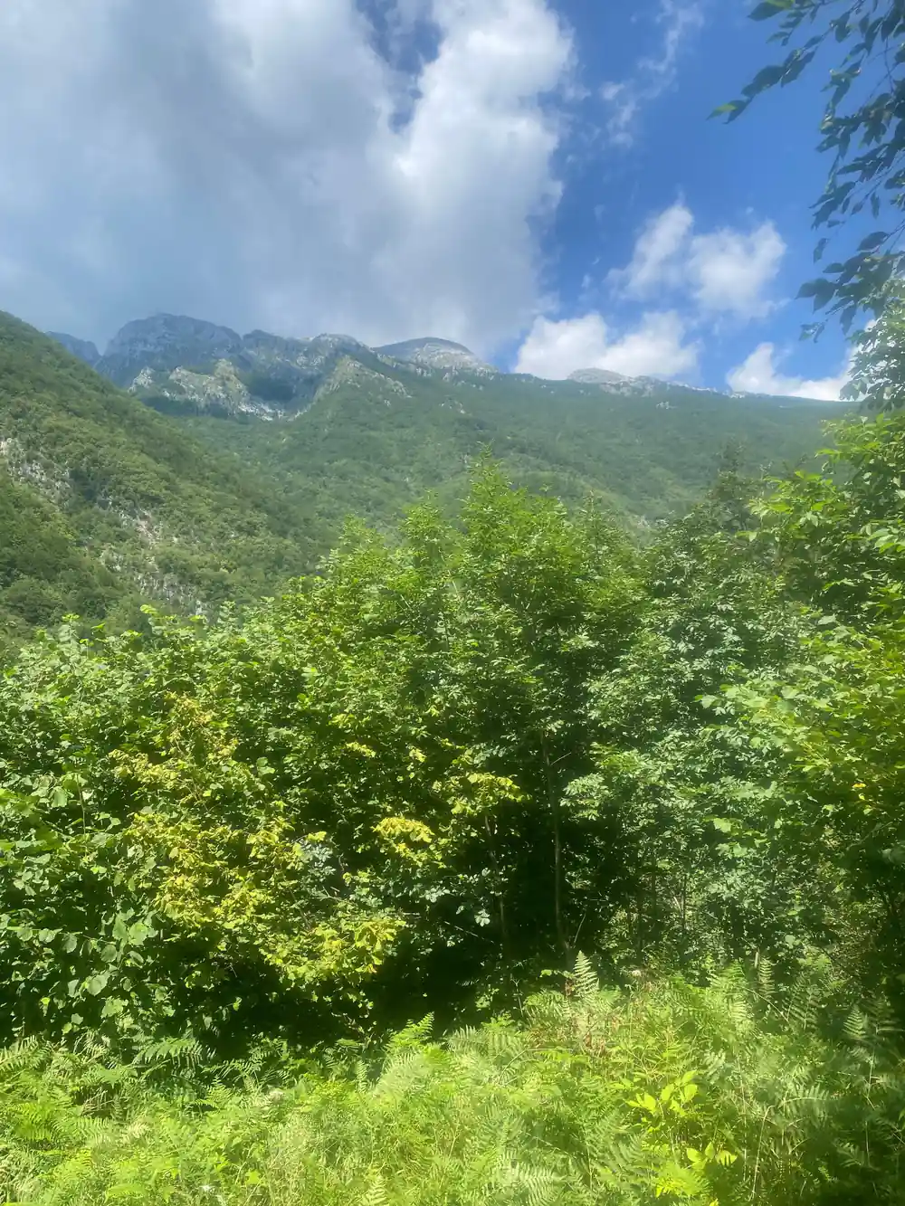 The high peaks above the tree line