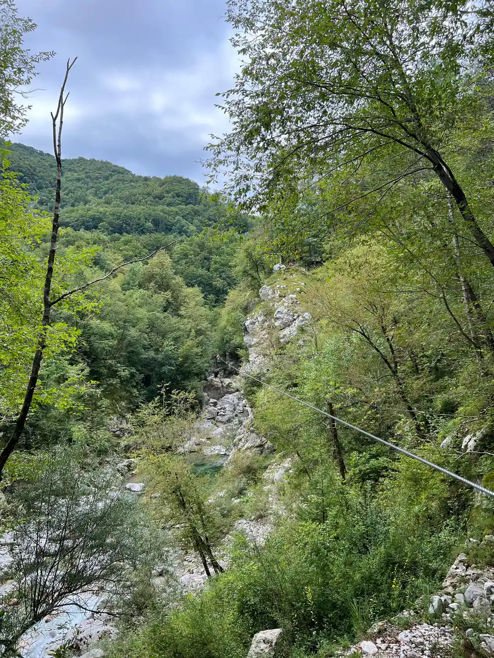 Lines crossing the wooded canyon