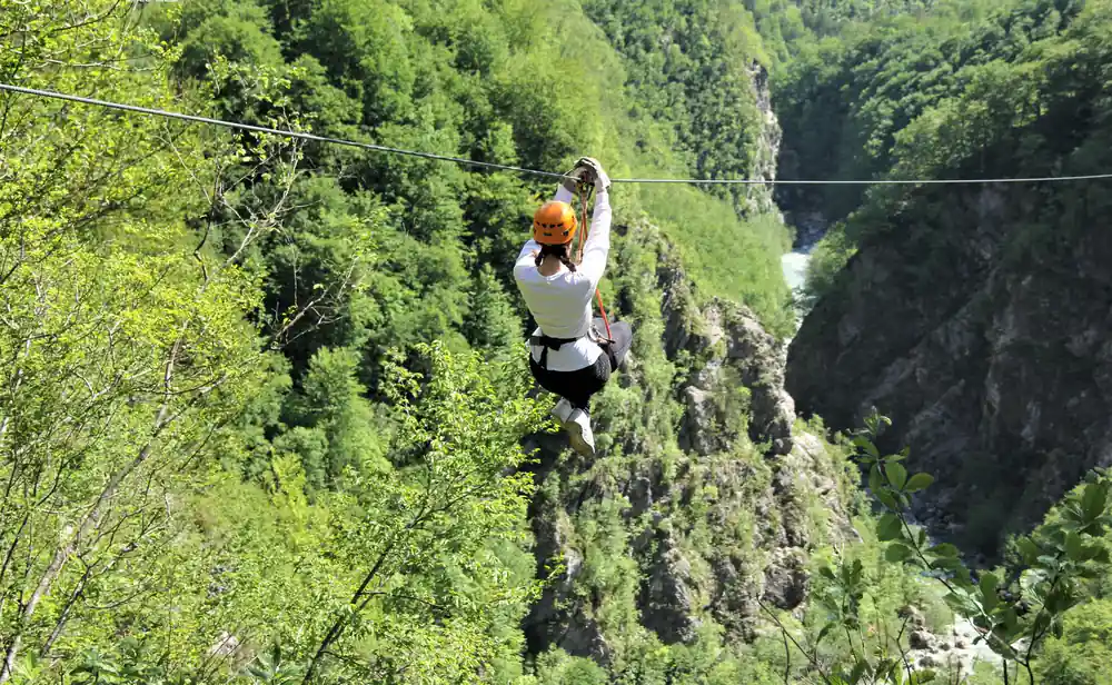 A rider crossing above the forest of the canyon