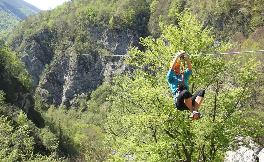 A rider on the line among the trees