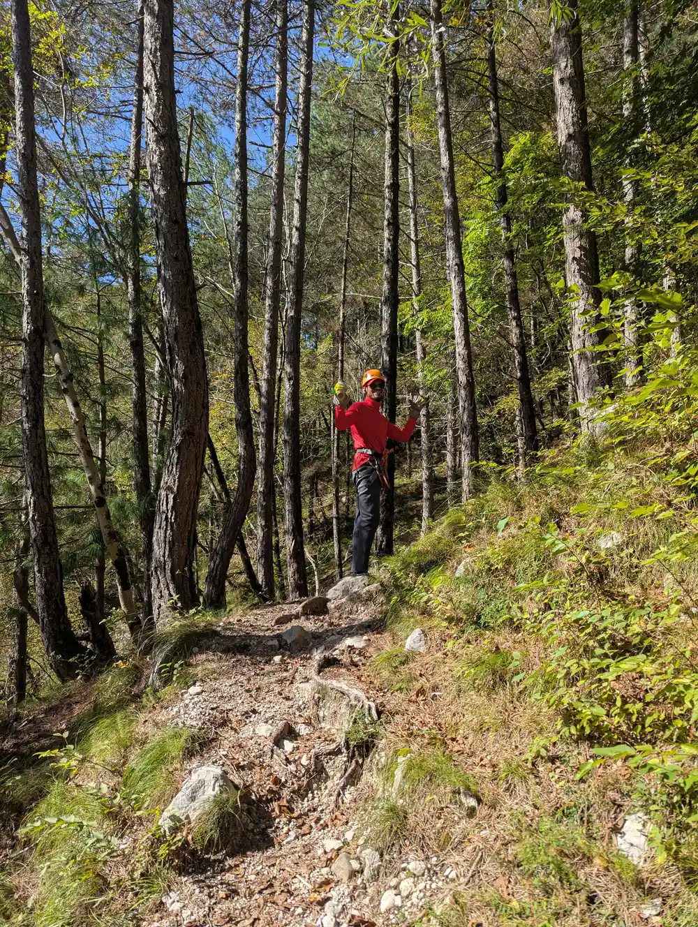 A rider on the wire through the woodland