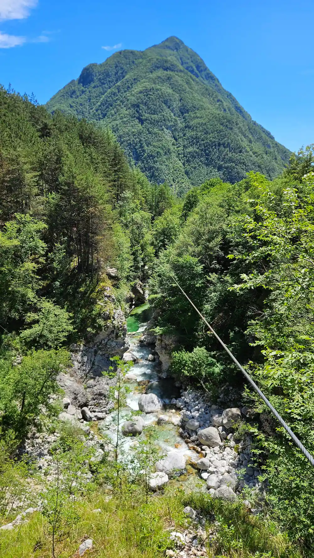 The stream running through the wooded gorge