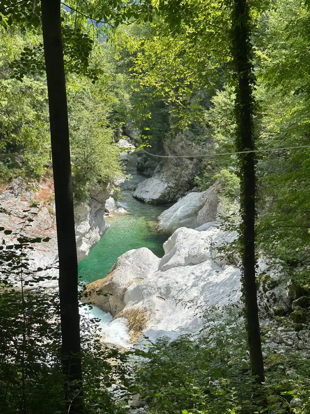 Water and boulders framed by the trees