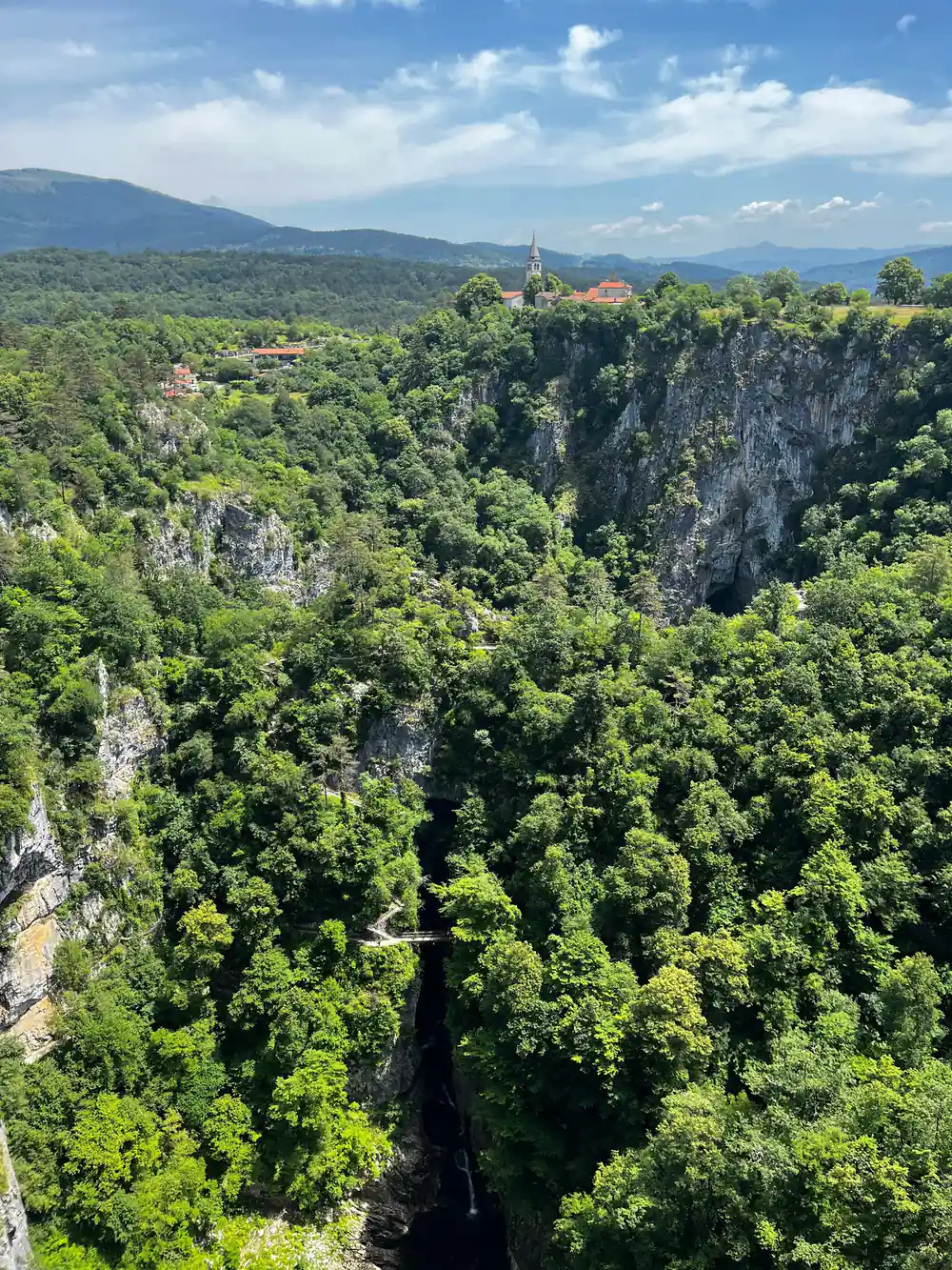 The wooded canyon from the rim